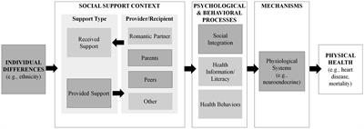 Providing Support Differentially Affects Asian American and Latinx Psychosocial and Physiological Well-Being: A Pilot Study